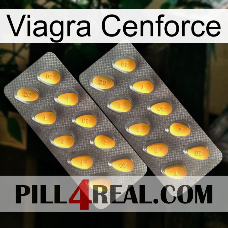 Viagra Cenforce cialis2